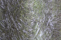 South Middleton fibreglass roof work